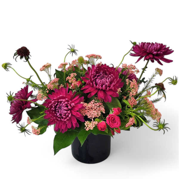 Fresh Aire - Wild, Fun and Untethered