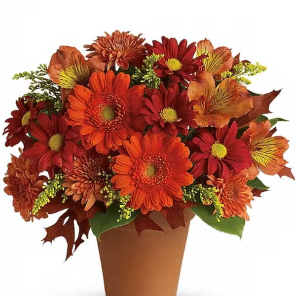 Orange and red daisy bouquet in a brown pot