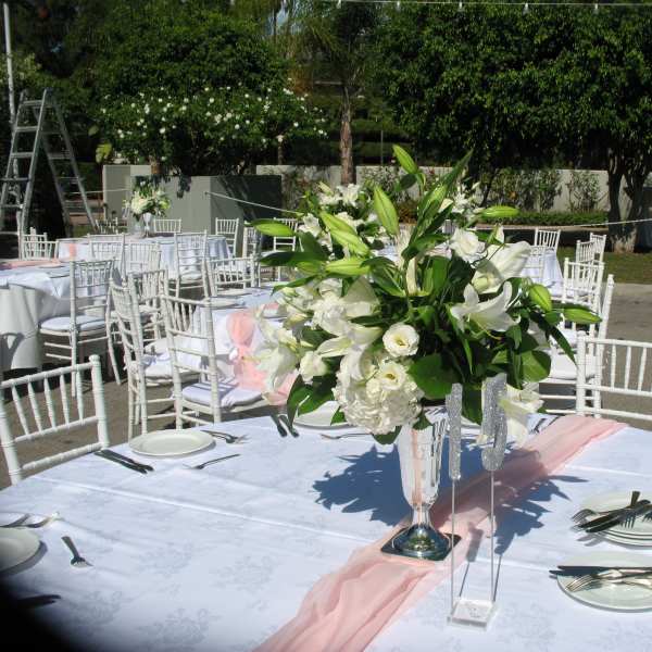 Hydrangea Lilies #35