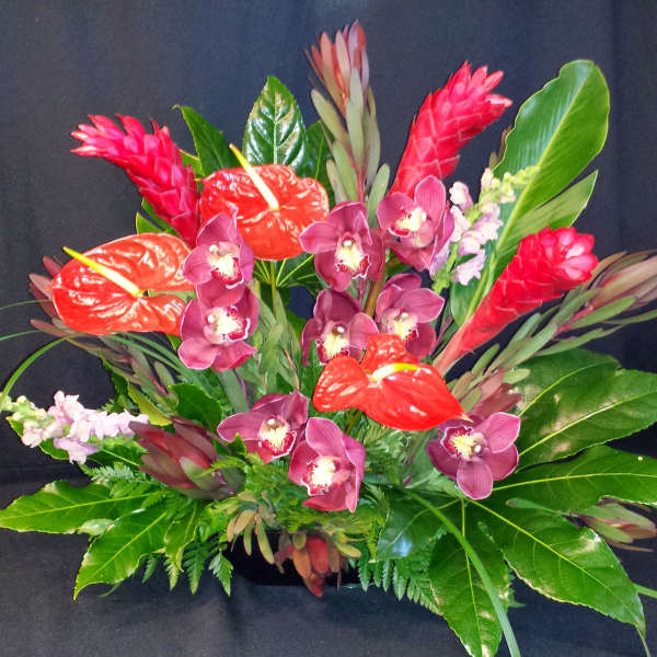 Tropical Triangle Bold and Bright, colors vary