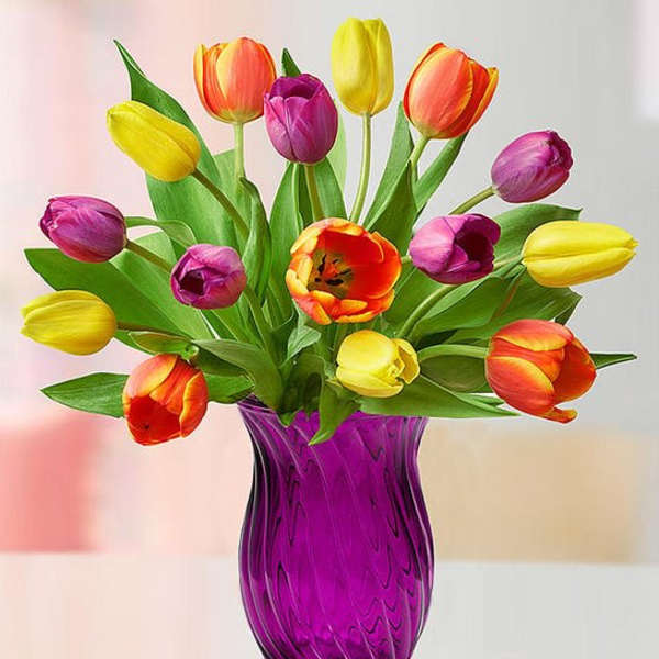Colorful tulips arranged in a purple glass vase