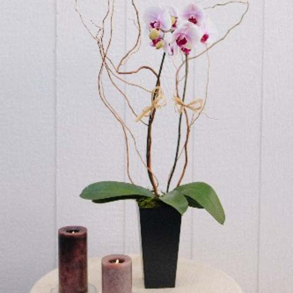 Pink orchids in a tall black vase with decorative branches and candles on a table