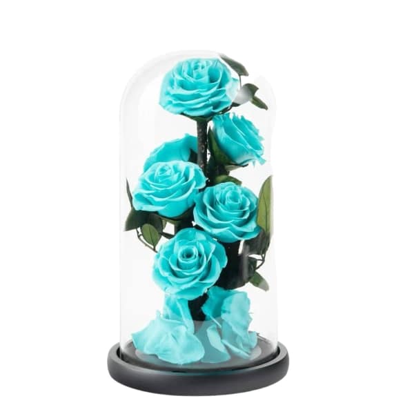 Five turquoise roses under a glass dome on a black base