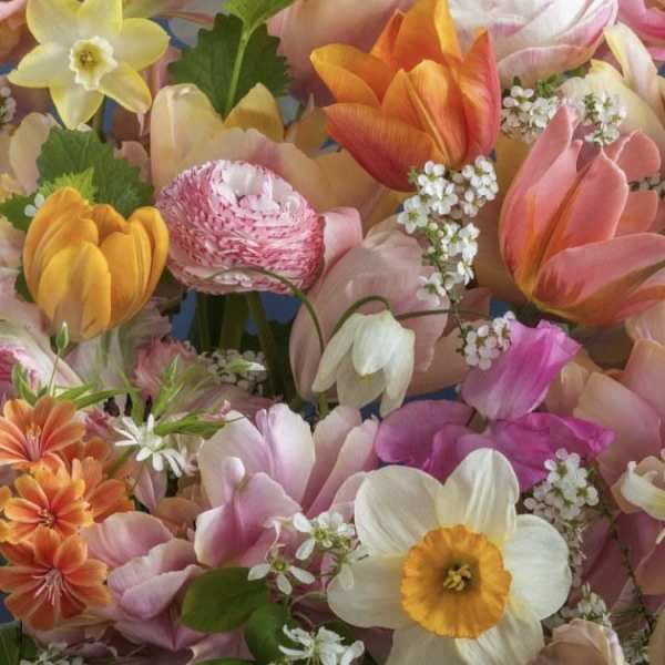 Designer's Choice $200