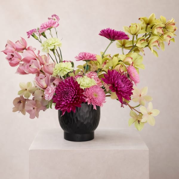 The Cymbidium Symphony