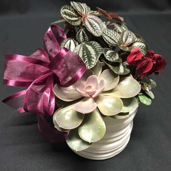 Sweet mini Modern Planter Garden