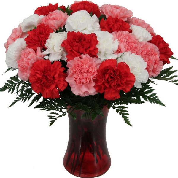 Red, pink, and white carnations in a red glass vase