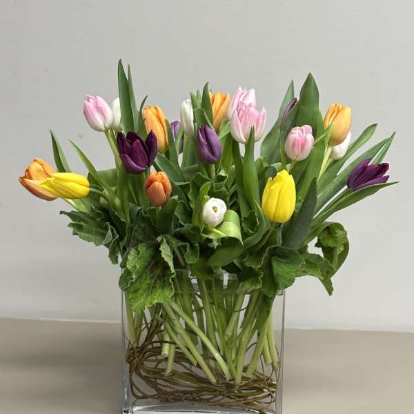 Mixed tulips in pink, yellow, purple, orange, and white in a clear glass vase