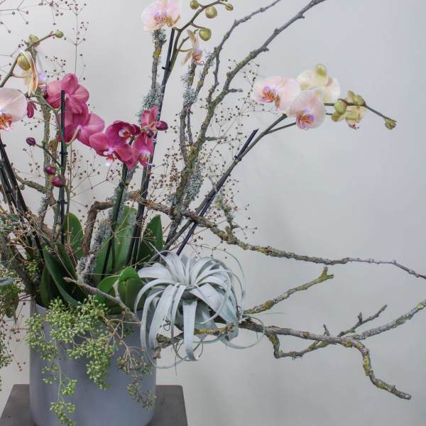 Tall orchid arrangement in a gray vase with branches and air plant accents