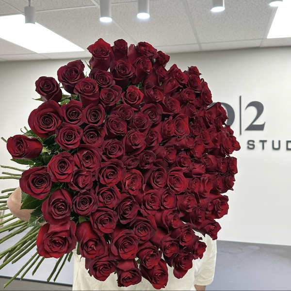 Large bouquet of deep red roses held indoors