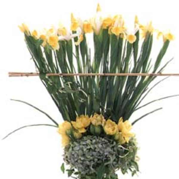 Tall arrangement of yellow daffodils in a clear glass vase