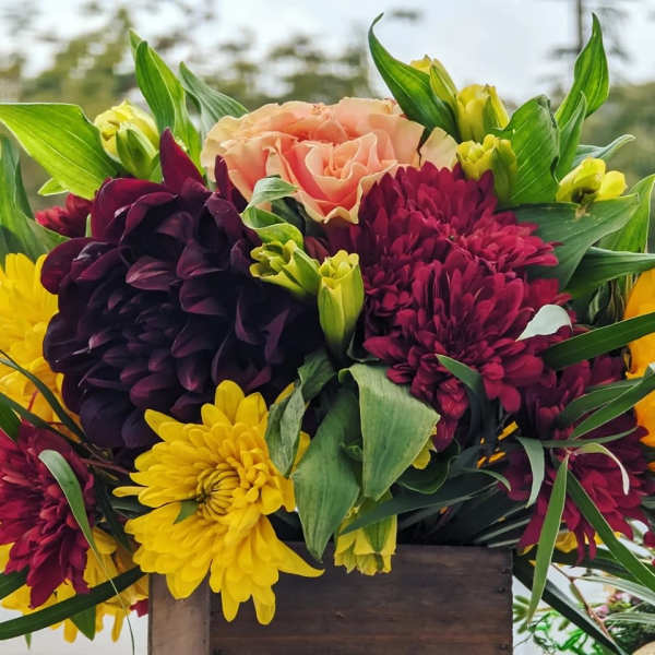 Arrangement of burgundy and yellow mums with a peach rose in a wooden box