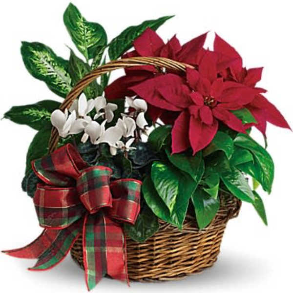 Christmas Homecoming Basket