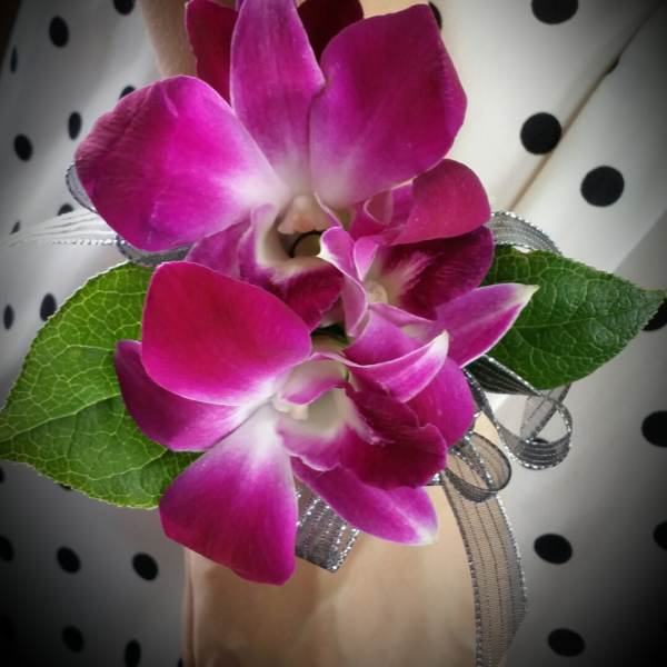 Pink orchid corsage with ribbon and green leaves