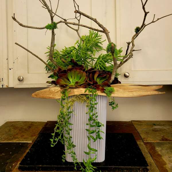Succulent arrangement with branches in a white pedestal container