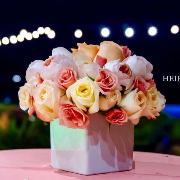 Pink and cream roses arranged in a white square vase