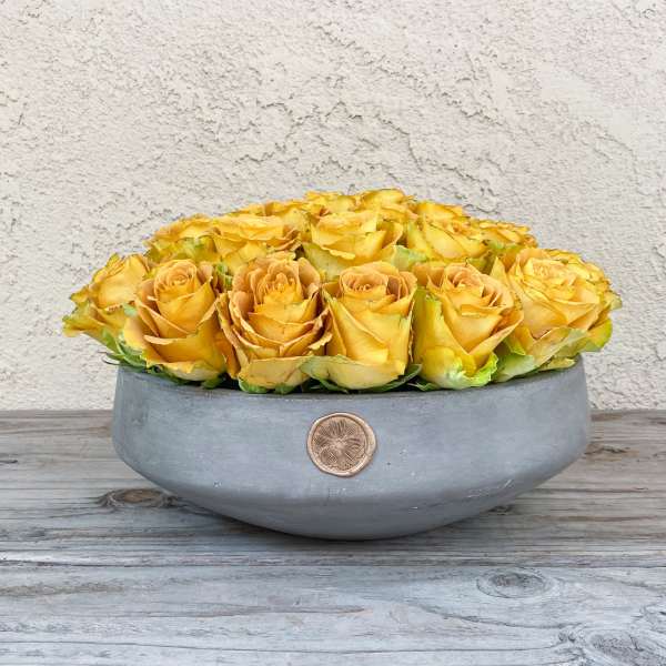 Low bowl of yellow roses in a gray container