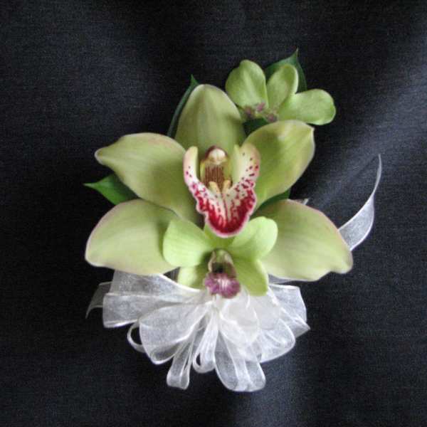 Green orchid corsage with a white ribbon bow