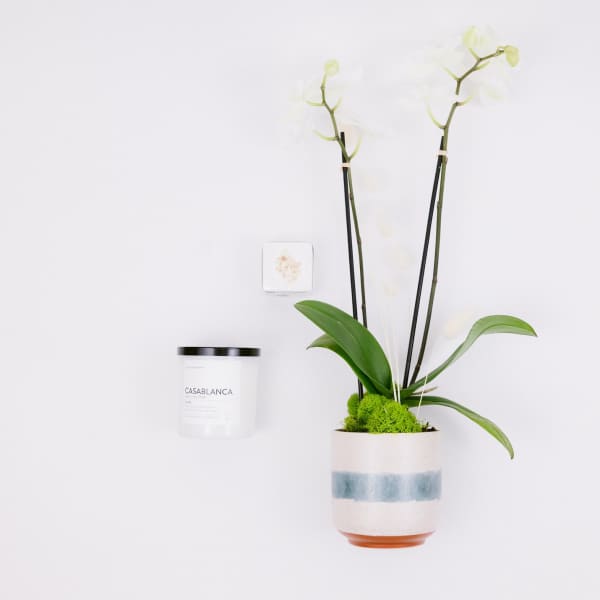 Inner Peace Gift Set