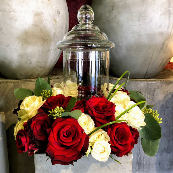 Low ring of red and white roses around a tall glass jar with lid on a stone base