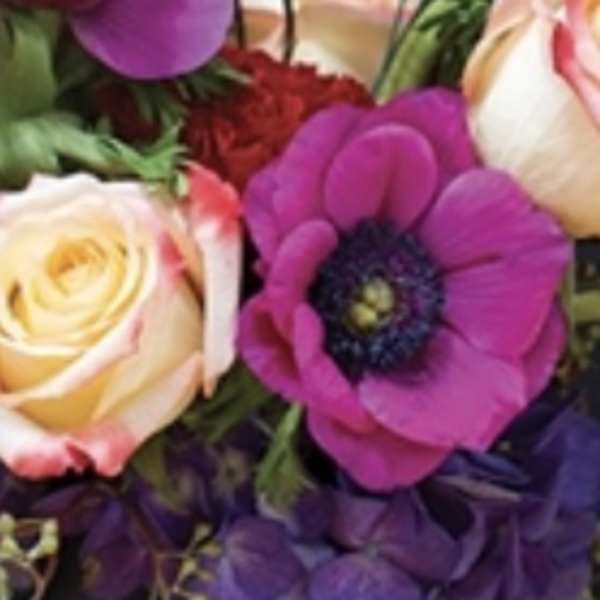 Close-up bouquet with purple flowers and cream roses