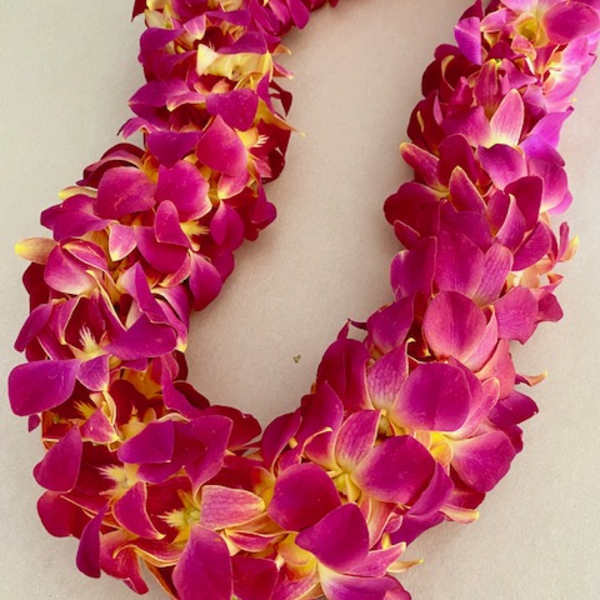 Pink and magenta orchid lei on a light background