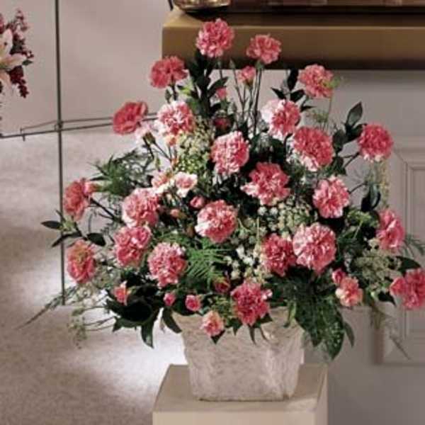 Meditation Arrangement