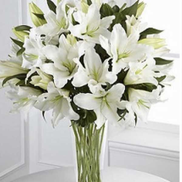 White lilies arranged in a clear glass vase