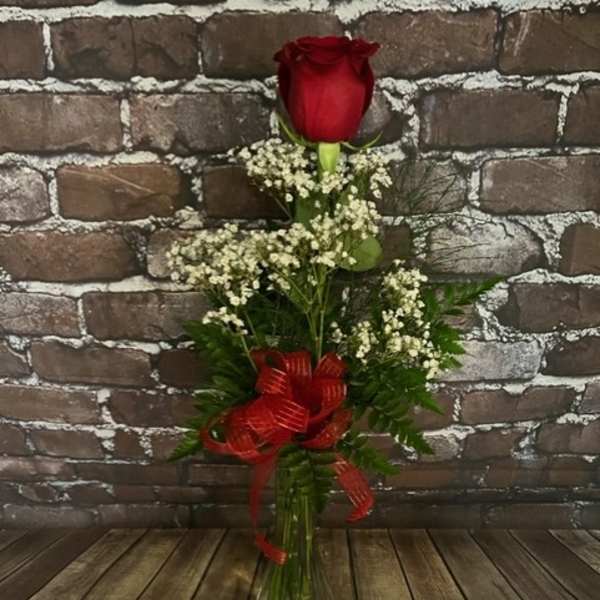 Single red rose in a glass vase with baby's breath and a red ribbon