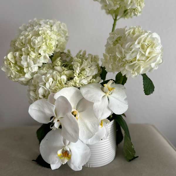 White hydrangeas and white orchids in a ribbed white vase