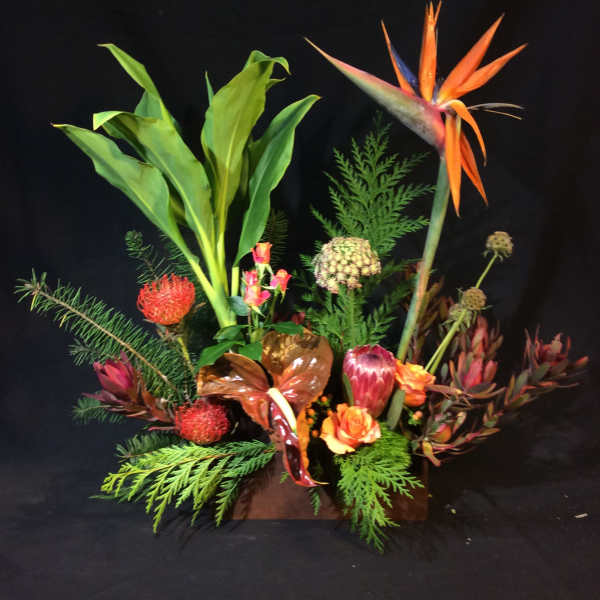 Tropical floral arrangement with orange bird of paradise and red blooms in a low container