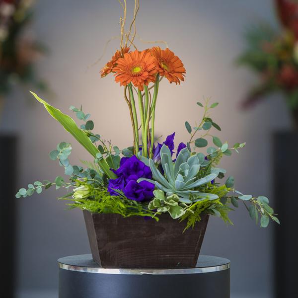 Orange gerbera daisies and purple flowers in a dark rectangular container