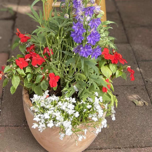 Two terracotta pots of mixed red, white, and purple flowers on a stool