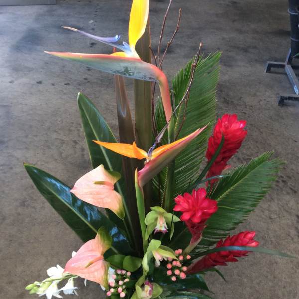 Tropical arrangement with bird of paradise, pink anthuriums, and red ginger flowers