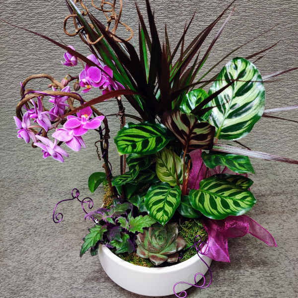 Mixed potted plants with purple orchids in a white bowl planter