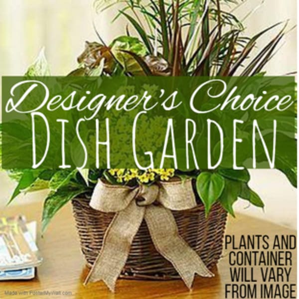 Mixed potted plants in a wicker basket with a burlap bow