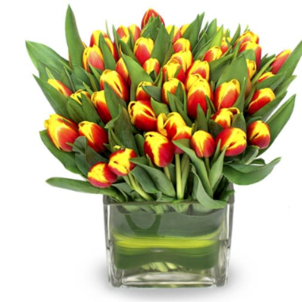 Bouquet of red and yellow tulips in a clear glass vase