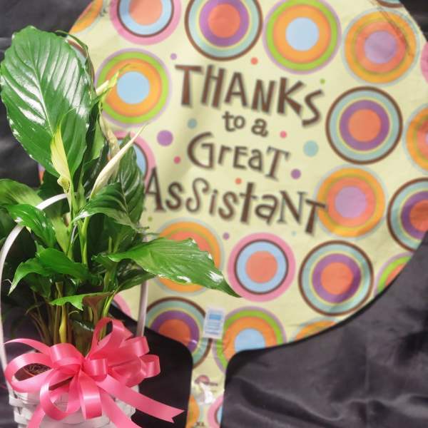Administrative Assistant’s Day Bundle