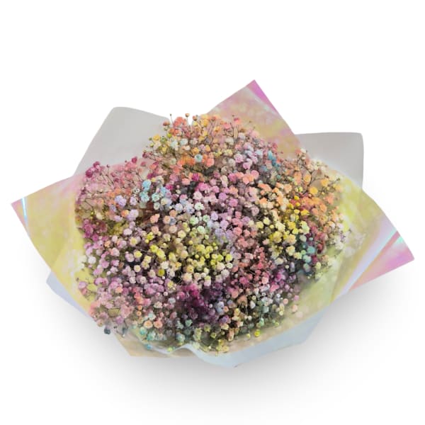 Rainbow Clouds Cello