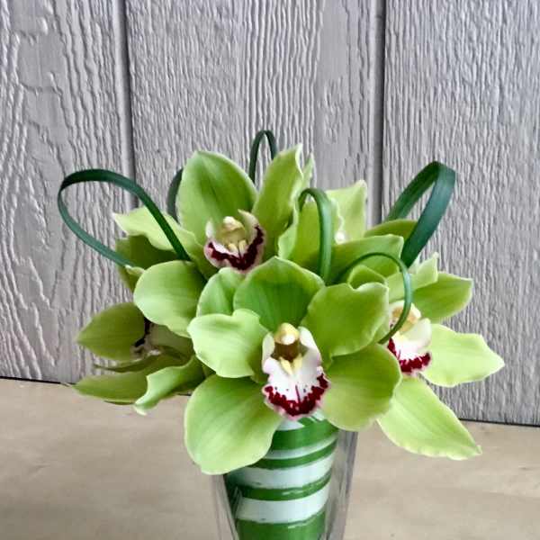 Green orchids arranged in a clear glass vase