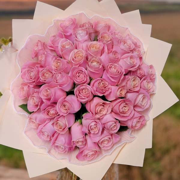 Bouquet of pink roses wrapped in pale paper