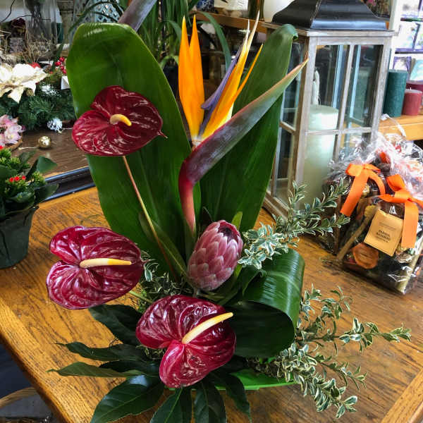 Tropical arrangement with red anthuriums and bird of paradise flowers