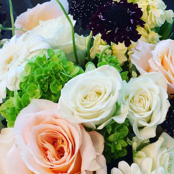 Close-up bouquet of white, peach, and dark purple flowers