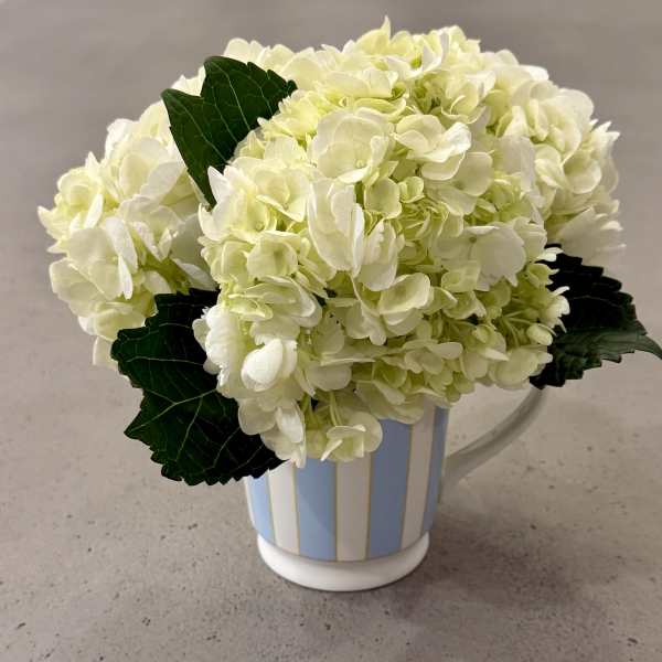 White hydrangea arrangement in a striped ceramic pitcher