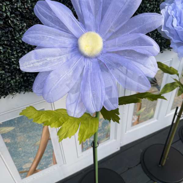 Oversized Med Sheer Ethereal Voile Daisy Bloom