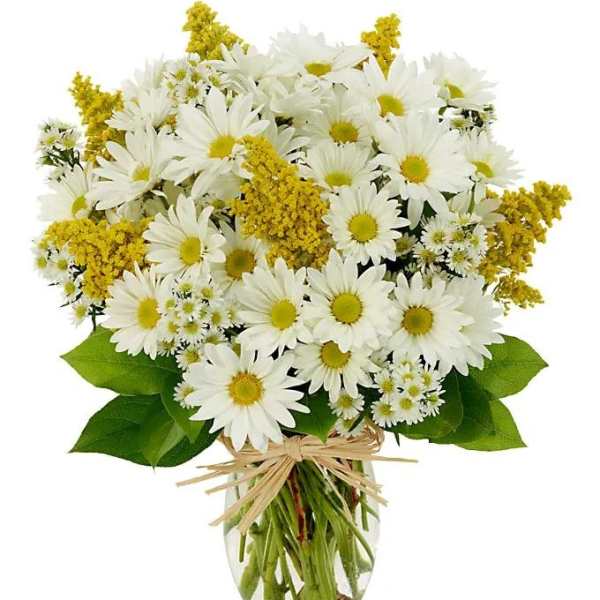 Bouquet of white daisies and yellow filler flowers in a glass vase