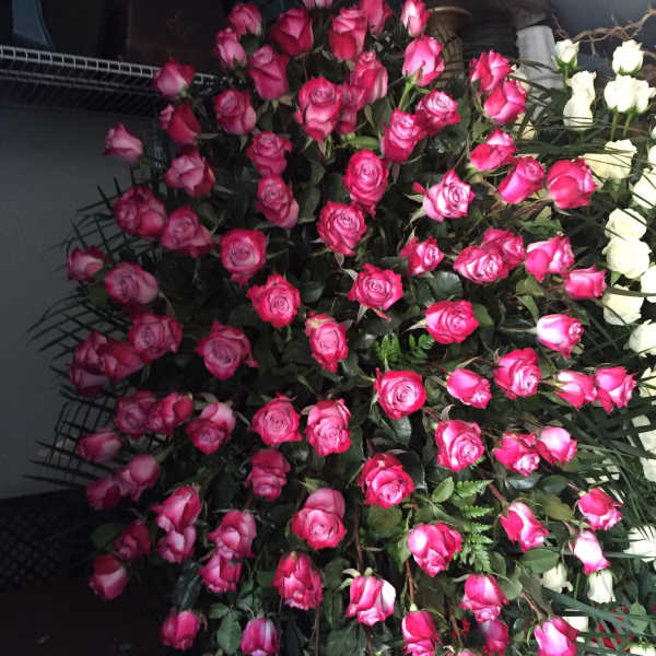 Large bouquet of pink and white roses with greenery
