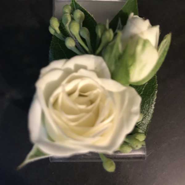 White rose boutonniere with green buds and leaves