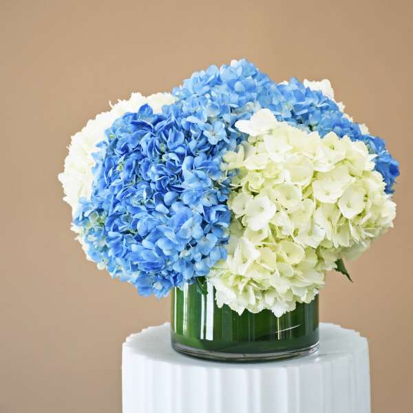 Out of the Blue | Blue & White Hydrangea Flower Delivery in San Francisco