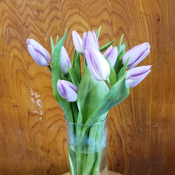 Lavender tulips in a clear glass vase